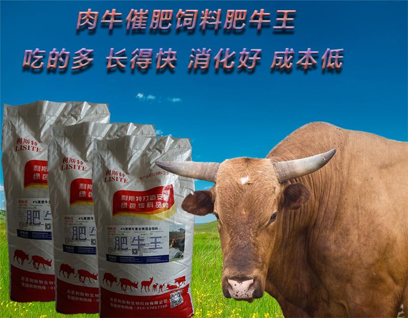 2．肉牛預混料供應商：什么是肉牛預混料？品牌好